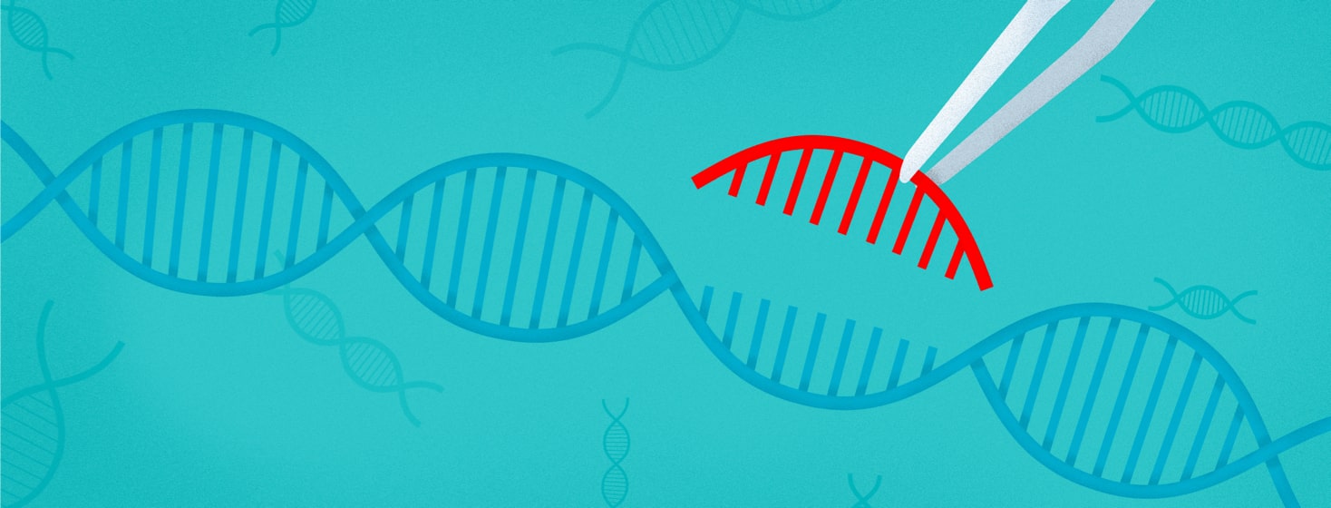 A piece of a gene being removed