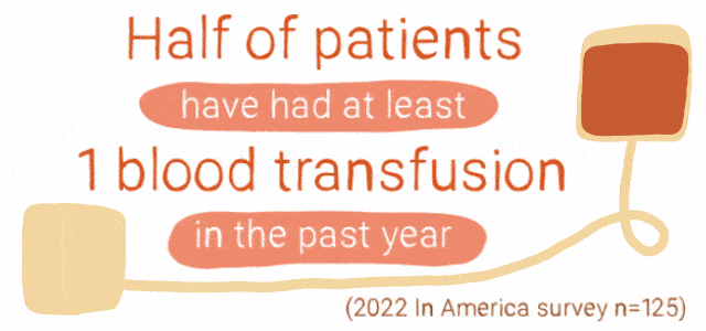 Half of patients had at least one blood transfusion in the past year.